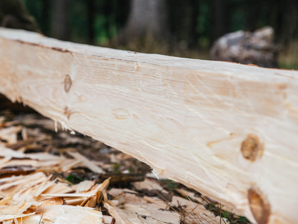 An Introduction to Timber Hewing