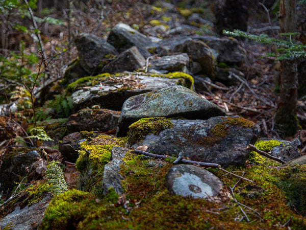 Old Stone Walls