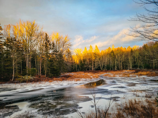 Finding Inspiration to End the Year