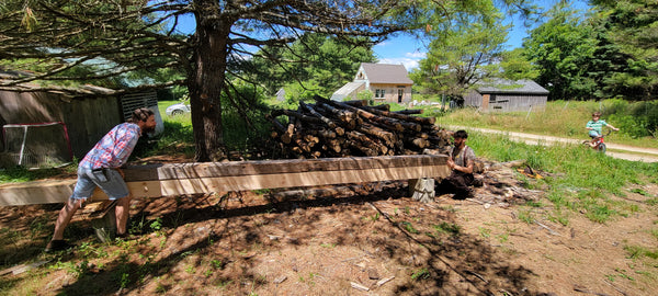 Revolution, Ancient Timber Marks, & Axes