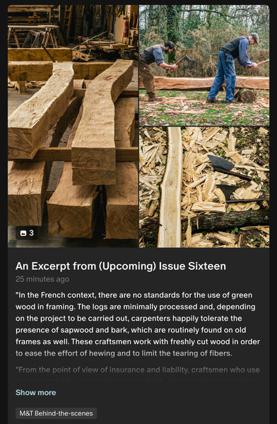 An Excerpt from (Upcoming) Issue Sixteen