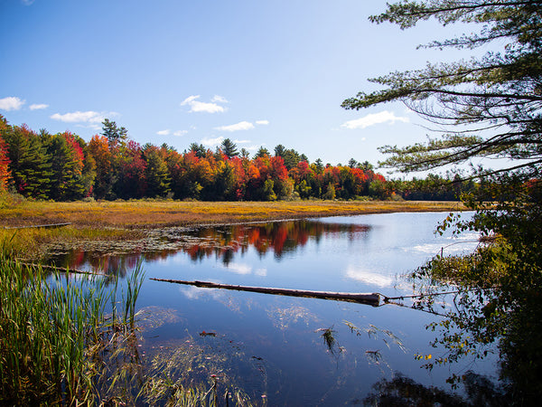 Autumn in Maine