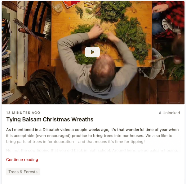 Tying Balsam Christmas Wreaths