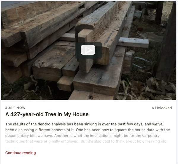 A 427-year-old Tree in My House