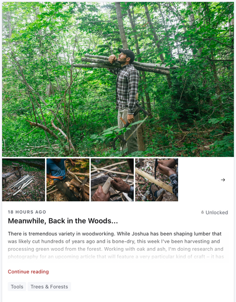 Meanwhile, Back in the Woods...